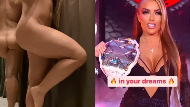فضيحة ورادة شلومنتي