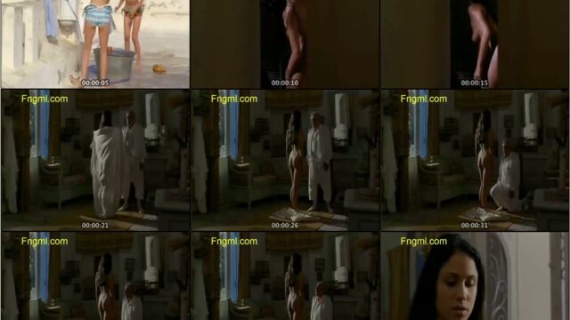 افلام ممنوعه من العرض حسين فهمي على الشاطئ